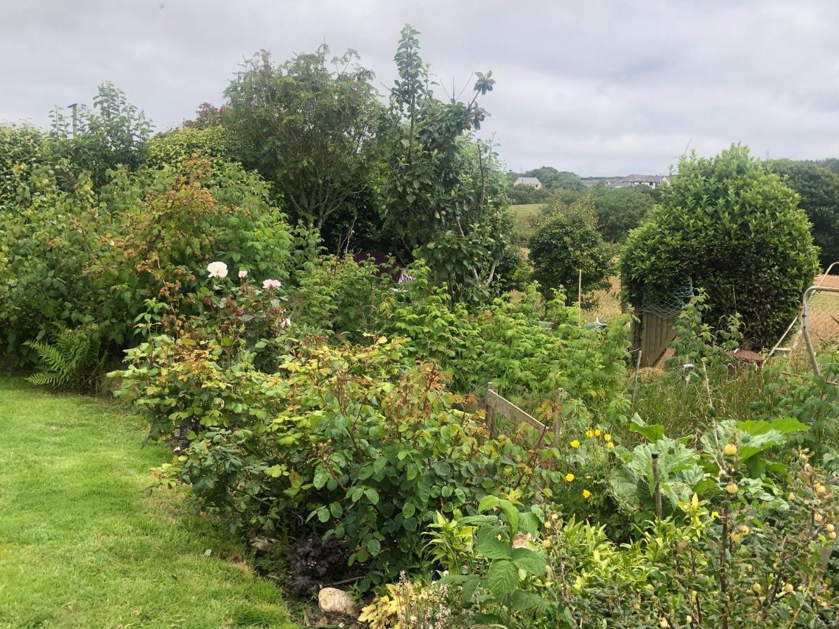 Little Valley View Otterham Exterior photo